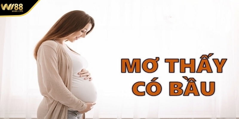 Mơ thấy có bầu đánh con gì